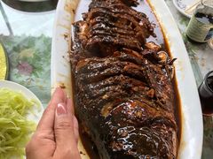 -金台阶鱼馆(于桥水库店)