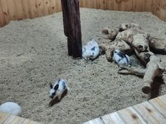 -昆明大悦城未来动物城(螺蛳湾中心店)