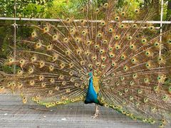 -福建鲤鱼洲酒店