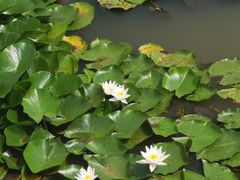 -帽儿山国家森林公园