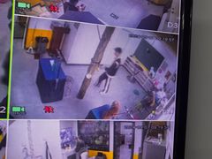 -优缇多格专业宠物美容师培训学校