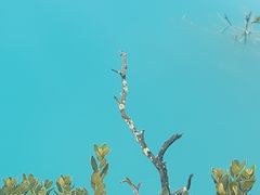 -玉龙雪山蓝月谷