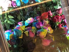 -ROSEONLY诺誓(国际广场购物中心店)