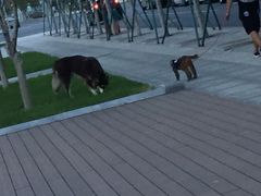 凯丹广场-大连凯丹广场