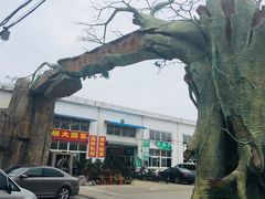 -龙大花卉苗木市场