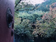 -四门塔风景区