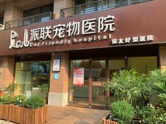 -派联宠物医院·24h·CT·异宠