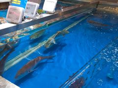-盒马鲜生(悦峰店)