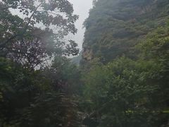 -少华山国家森林公园