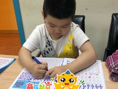 -月星环球港赢在起点早教中心·亲子托班早教体验课儿童兴趣班逻辑思维专注力幼小衔接(普陀中心)