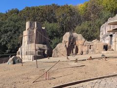 -哈尔滨北方森林动物园