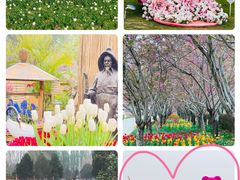 -北京国际鲜花港