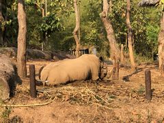 -清迈夜间动物园