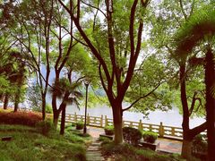 -凤城河风景区