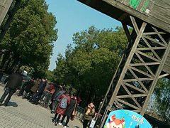 -溱湖国家湿地公园