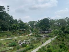 -东莞植物园