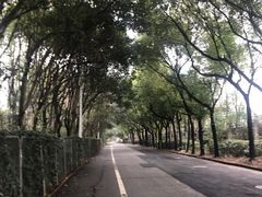 -七宝中学游泳馆