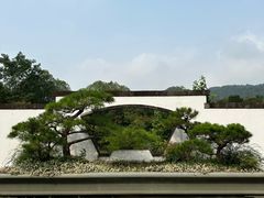 -杭州植物园