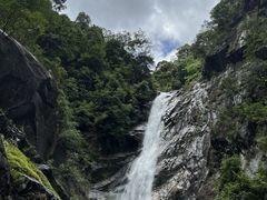 -姑婆山旅游区