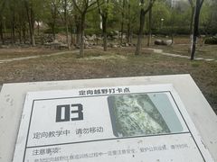 -滨河世纪广场公园