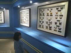 -上海昆虫博物馆