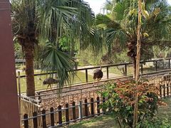 -泉州海丝野生动物世界