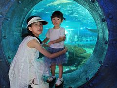 -海合安武汉极地海洋公园