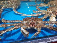 -神洲四海大酒楼(王府井澳门中心店)