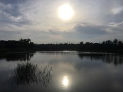 -日照海滨国家森林公园