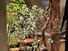 -森SPA·泰式按摩·精油Massage(宝安中心店)