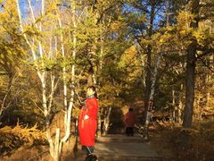 -塞罕坝国家级自然保护区