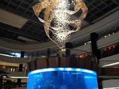 -OPEN開全日自助餐厅·牛肉火锅·海鲜(佛山希尔顿酒店)