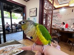 -观桥阁(锦溪店)