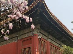 -北京国子监胡同