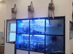 水产区-云中鱼蒸汽石锅鱼(川沙百联店)