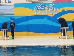 -秦皇岛乐岛海洋王国