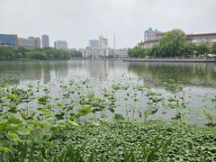 -南通濠河风景名胜区