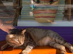 -恋物百货商店(华侨城店)