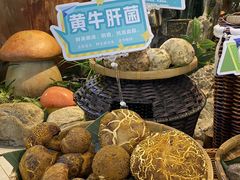 -菌彩云南野生菌火锅(万达广场店)