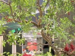 -峨嵋酒家(牡丹园店)