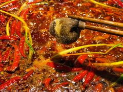 鲜毛肚-六公里老火锅(总店)