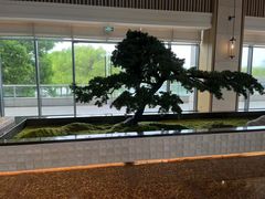 -上海佘山世茂艾美酒店