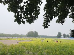 -天津武清北运河郊野公园房车露营地
