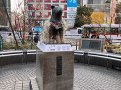 -涩谷全向十字路口