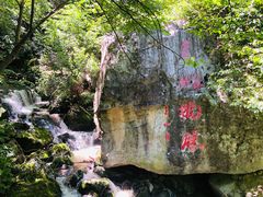 -青峰峡国家森林公园