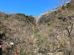 -泰山风景名胜区