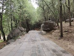 -泰山风景名胜区-普照寺