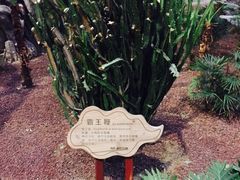 -龙达温泉生态城