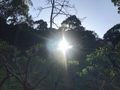 -广州市白云山风景名胜区