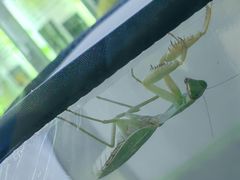 -上海昆虫博物馆